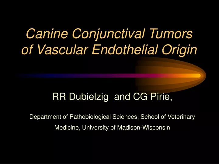 canine conjunctival tumors of vascular endothelial origin
