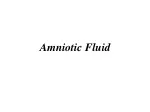 amniotic fluid function