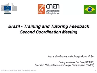 Brazil - Training and Tutoring Feedback Second Coordination Meeting
