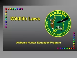 Wildlife Laws