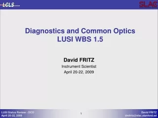 Diagnostics and Common Optics LUSI WBS 1.5