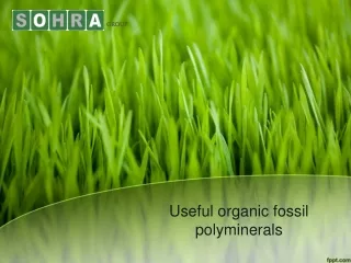 Useful organic fossil  polyminerals