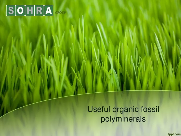 useful organic fossil polyminerals