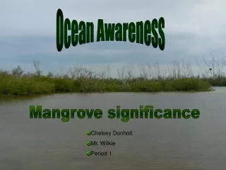 Ocean Awareness