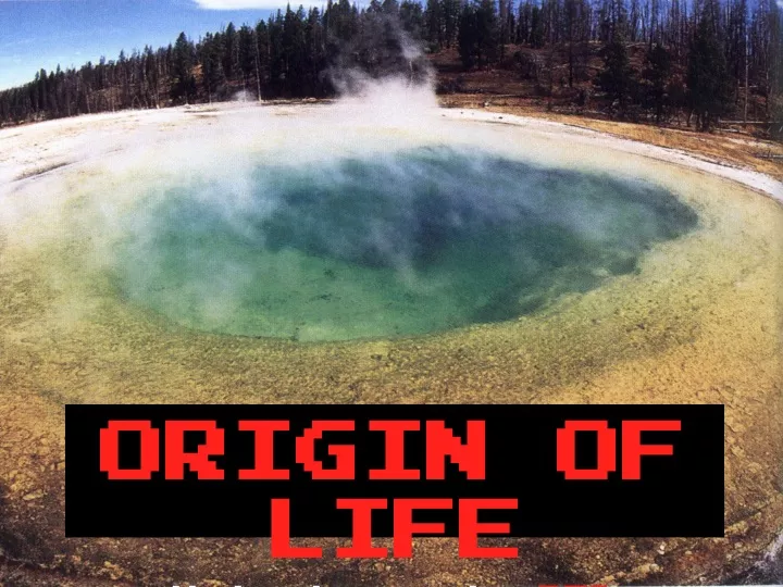 origin of life note terms in red