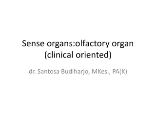 Sense organs:olfactory organ (clinical oriented)