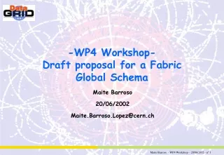 -WP4 Workshop- Draft proposal for a Fabric Global Schema