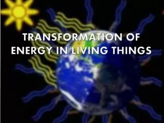 Transformation of Energy in Living Things