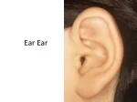 Understanding Hearing Loss: Causes & Solutions - slide 1