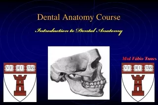 Dental Anatomy Course
