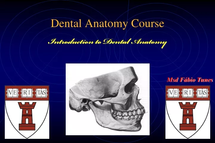 dental anatomy course