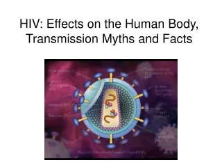 HIV: Effects on the Human Body, Transmission Myths and Facts