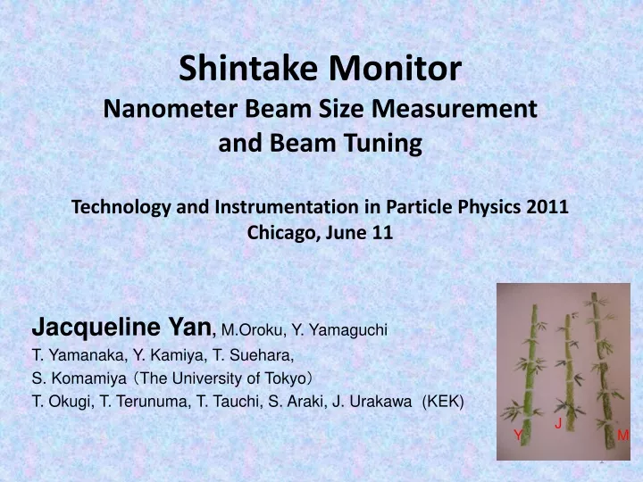 shintake monitor nanometer beam size measurement