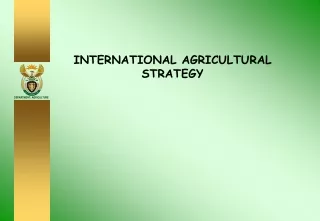 INTERNATIONAL AGRICULTURAL STRATEGY