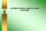 INTERNATIONAL AGRICULTURAL STRATEGY - slide 1
