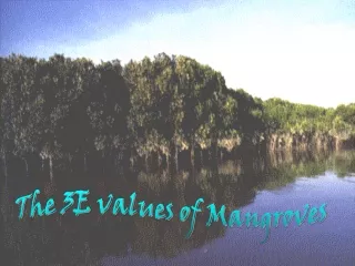 The 3E values of Mangroves