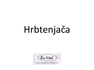 Hrbtenjača