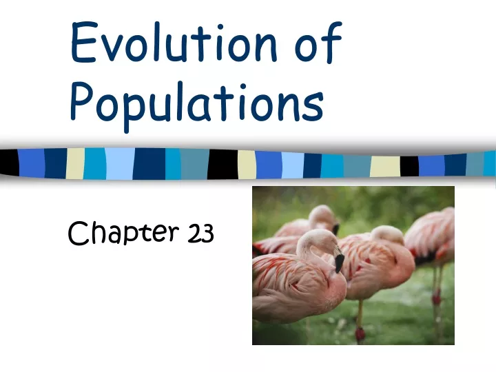 evolution of populations