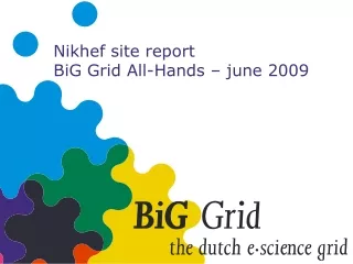 Nikhef site report BiG Grid All-Hands – june 2009