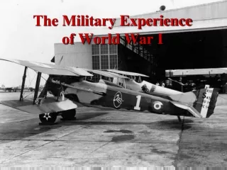 The Military Experience of World War I