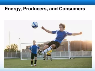 Energy, Producers, and Consumers