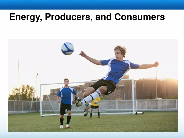 energy producers and consumers