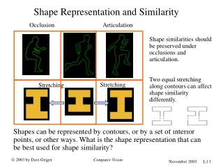 Shape Representation and Similarity