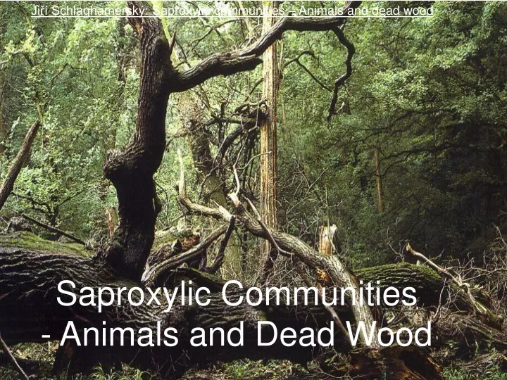 saproxylic communities animals and dead wood
