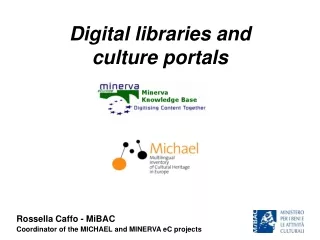 Digital libraries and culture portals