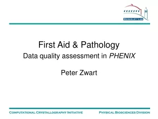 First Aid &amp; Pathology Data quality assessment in  PHENIX