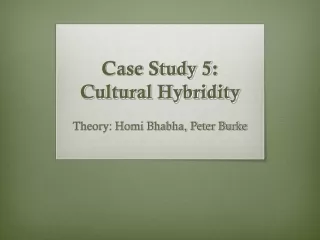 Case Study 5 : Cultural Hybridity