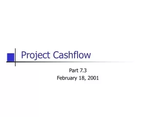 Project Cashflow