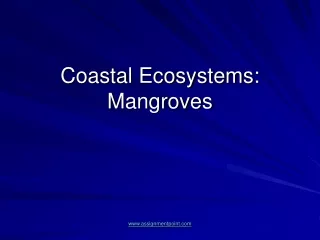 Coastal Ecosystems: Mangroves