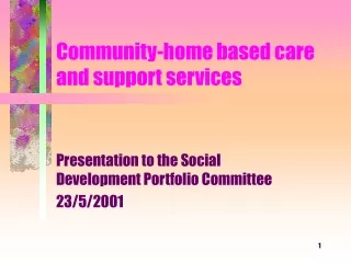 Community-home based care and support services