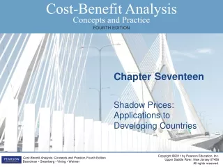 Shadow Prices: Applications to Developing Countries