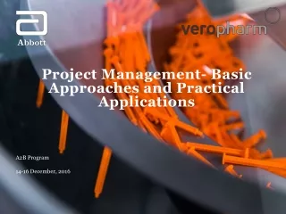 Project Management- Basic Approaches and Practical Applications