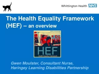 The Health Equality Framework (HEF) –  an overview