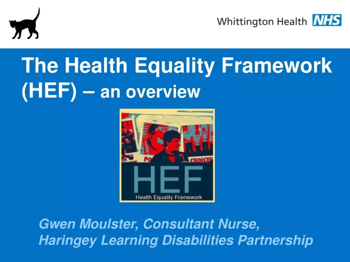the health equality framework hef an overview