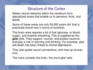 Structure of the Cortex