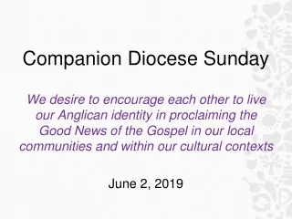 Companion Diocese Sunday