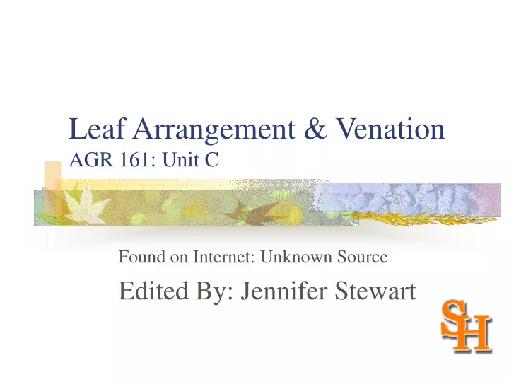 leaf arrangement venation agr 161 unit c