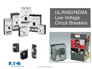 UL/ANSI/NEMA Low Voltage  Circuit Breakers
