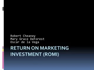 Return On Marketing Investment (ROMI)