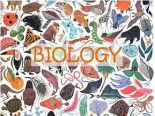 What is Biology as a science?