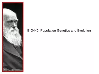 BIO440: Population Genetics and Evolution