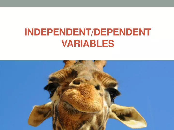 independent dependent variables