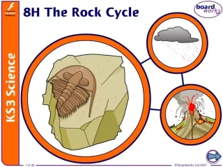 What are sedimentary rocks?