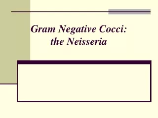 Gram Negative Cocci:  the Neisseria