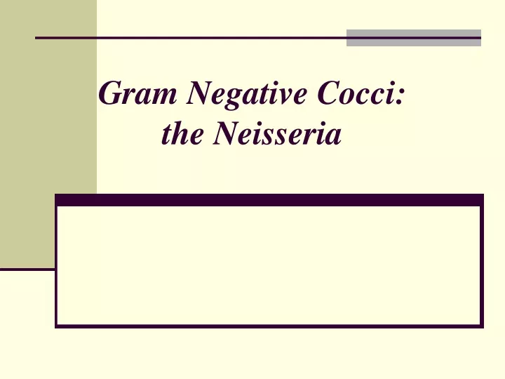 gram negative cocci the neisseria
