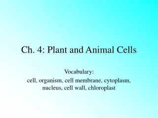 Ch. 4: Plant and Animal Cells